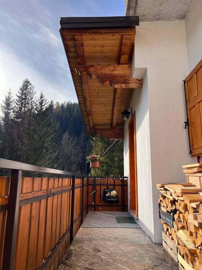 Darenato Santo Stefano Di Cadore Exterior foto