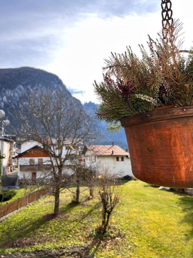 Darenato Santo Stefano Di Cadore Exterior foto