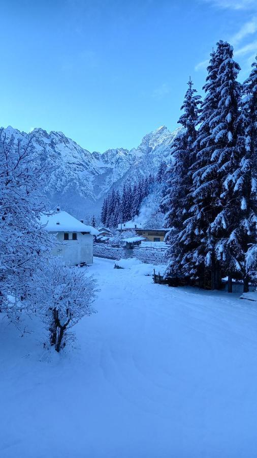 Darenato Santo Stefano Di Cadore Exterior foto