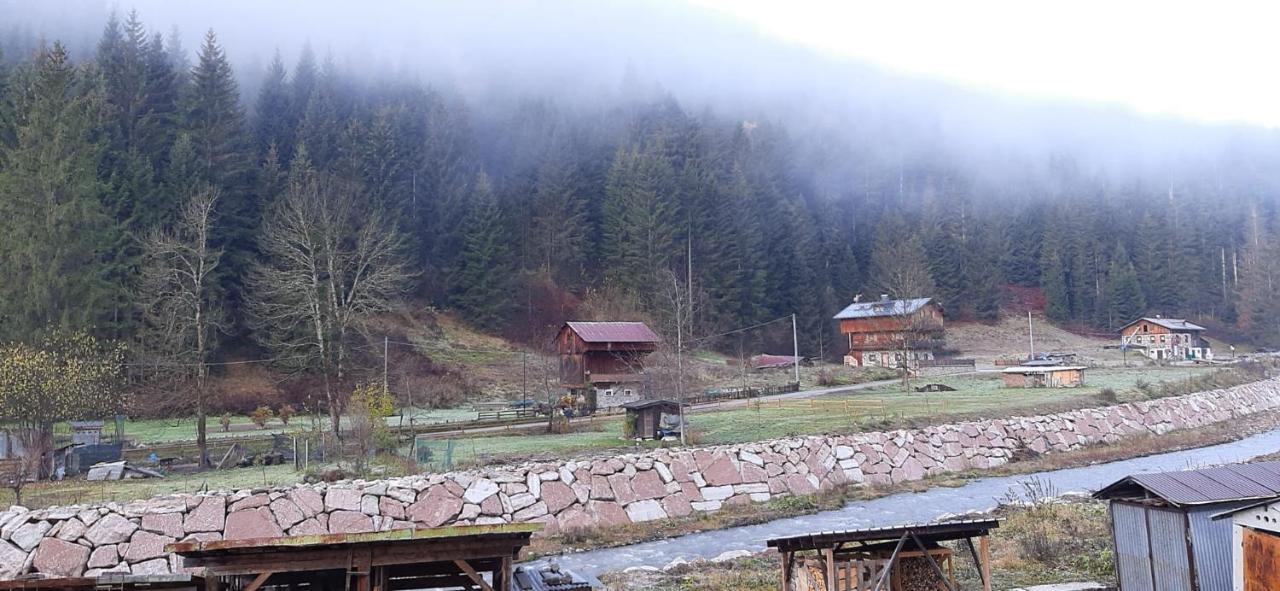 Darenato Santo Stefano Di Cadore Exterior foto