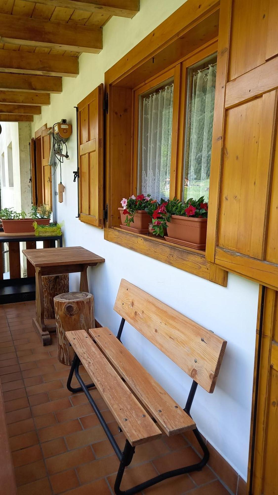 Darenato Santo Stefano Di Cadore Exterior foto